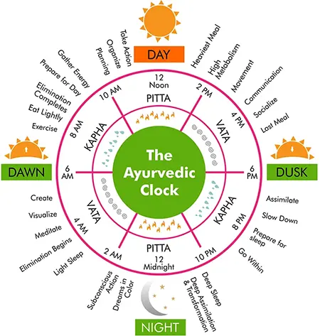 Weight Loss Diet and Guidance
