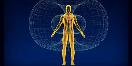 Bio Electromagnetic Therapy delhi