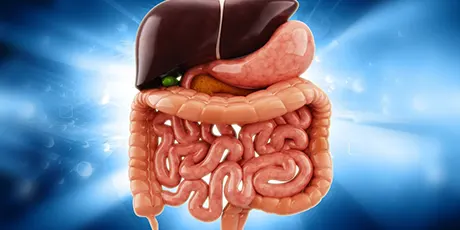 Body Detoxification clinic in Delhi